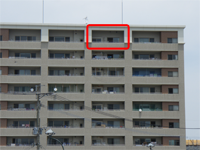 鳩対策 施工例:外観